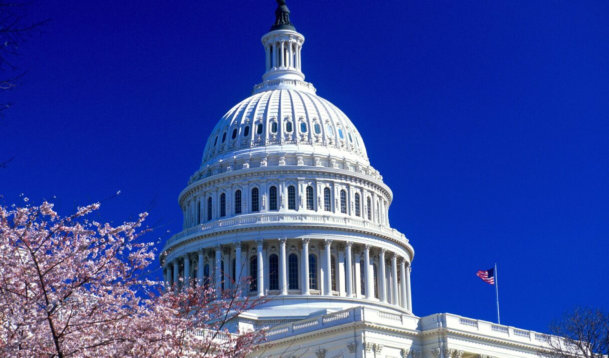 Privacy & Civil Liberties Oversight Board